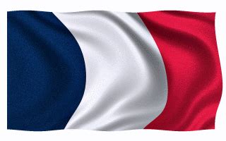 french flag gif